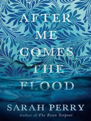 cover image of After Me Comes the Flood